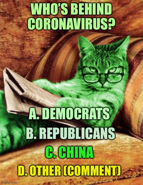 Imgflip Poll | WHO’S BEHIND CORONAVIRUS? A. DEMOCRATS; B. REPUBLICANS; C. CHINA; D. OTHER (COMMENT) | image tagged in factual raycat,memes,raycat | made w/ Imgflip meme maker