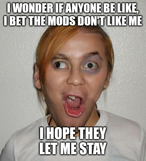 I hope they let me stay lol | I WONDER IF ANYONE BE LIKE, I BET THE MODS DON'T LIKE ME; I HOPE THEY LET ME STAY | made w/ Imgflip meme maker