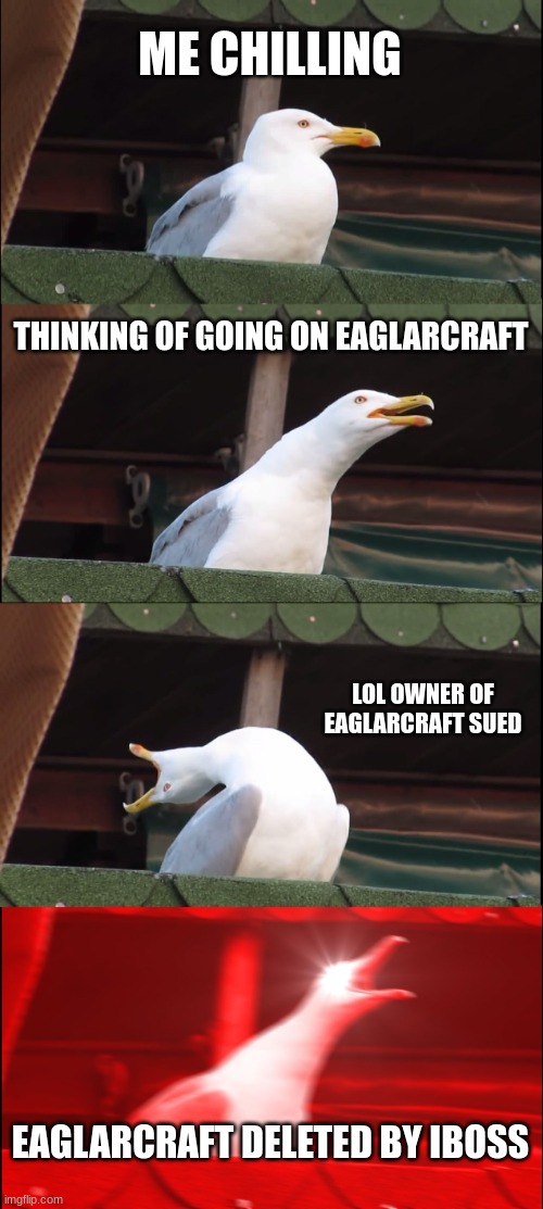 Inhaling Seagull | ME CHILLING; THINKING OF GOING ON EAGLARCRAFT; LOL OWNER OF EAGLARCRAFT SUED; EAGLARCRAFT DELETED BY IBOSS | image tagged in memes,inhaling seagull | made w/ Imgflip meme maker