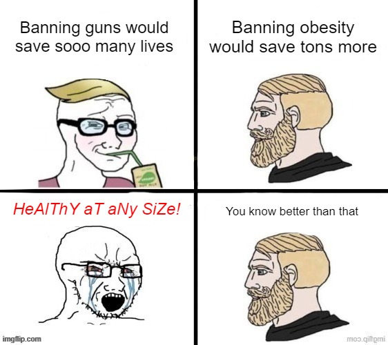 Just having a "slogan" doesn't mean you're right | Banning obesity would save tons more; Banning guns would save sooo many lives; HeAlThY aT aNy SiZe! You know better than that | made w/ Imgflip meme maker