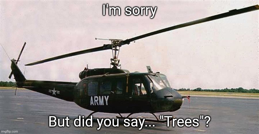 huey | I'm sorry But did you say... "Trees"? | image tagged in huey | made w/ Imgflip meme maker