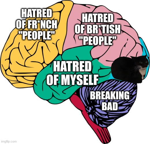 Brain Sections | HATRED OF FR*NCH "PEOPLE"; HATRED OF BR*TISH "PEOPLE"; HATRED OF MYSELF; BREAKING BAD | image tagged in brain sections | made w/ Imgflip meme maker