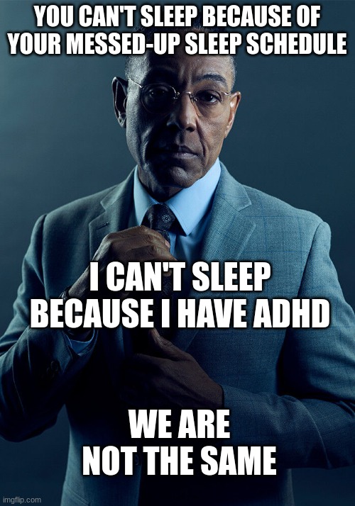 i made this when i should be asleep lol | YOU CAN'T SLEEP BECAUSE OF YOUR MESSED-UP SLEEP SCHEDULE; I CAN'T SLEEP BECAUSE I HAVE ADHD; WE ARE NOT THE SAME | image tagged in gus fring we are not the same,relatable,adhd | made w/ Imgflip meme maker