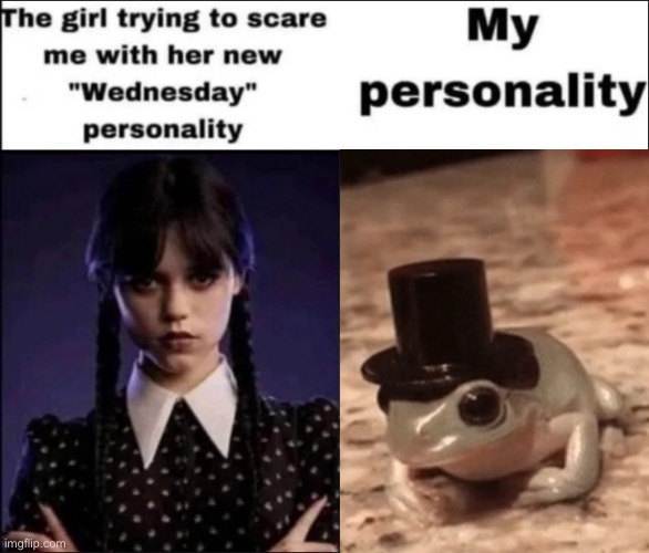 Gentlemen... | image tagged in frog,the girl trying to scare me with her new wednesday personality,wednesday | made w/ Imgflip meme maker