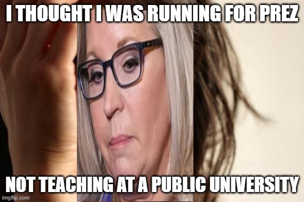 First World Problems | I THOUGHT I WAS RUNNING FOR PREZ; NOT TEACHING AT A PUBLIC UNIVERSITY | image tagged in memes,first world problems | made w/ Imgflip meme maker