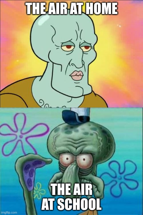 Squidward Meme | THE AIR AT HOME; THE AIR AT SCHOOL | image tagged in memes,squidward | made w/ Imgflip meme maker