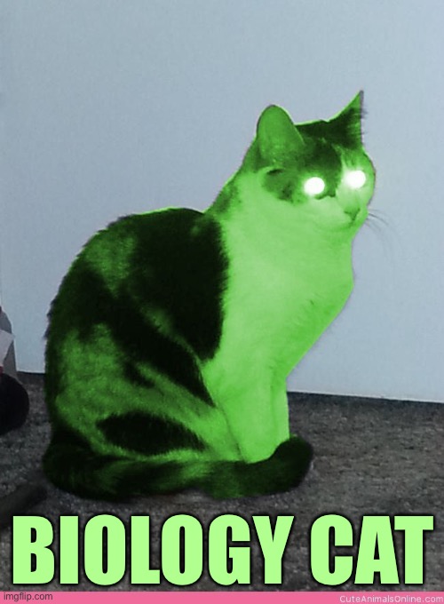 Hypno Raycat | BIOLOGY CAT | image tagged in hypno raycat | made w/ Imgflip meme maker