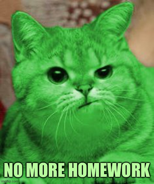 RayCat Annoyed | NO MORE HOMEWORK | image tagged in raycat annoyed | made w/ Imgflip meme maker