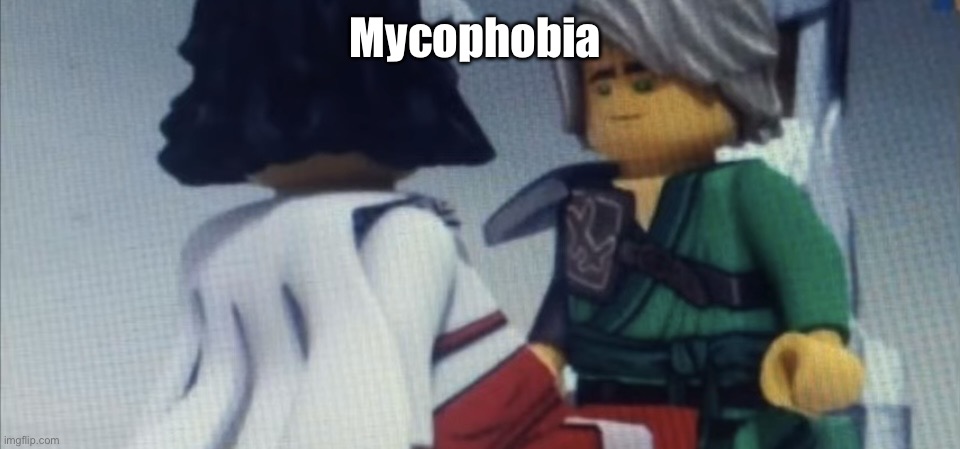 Dont pause ninjago | Mycophobia | image tagged in dont pause ninjago | made w/ Imgflip meme maker