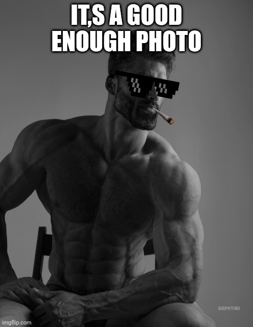 Its ok | IT,S A GOOD ENOUGH PHOTO | image tagged in giga chad | made w/ Imgflip meme maker