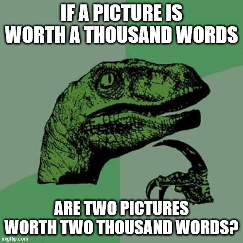 Philosoraptor | IF A PICTURE IS WORTH A THOUSAND WORDS; ARE TWO PICTURES WORTH TWO THOUSAND WORDS? | image tagged in memes,philosoraptor | made w/ Imgflip meme maker