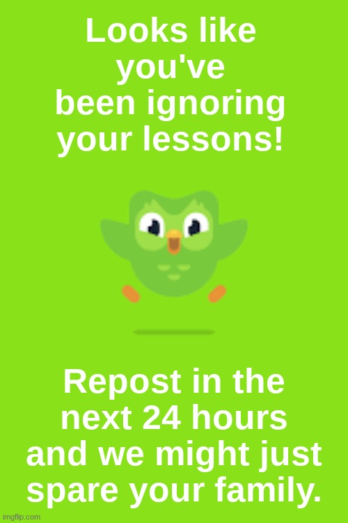 P-please Duo, I did my French last week! (btw if you do repost this make sure to put it in repost stream) | Looks like you've been ignoring your lessons! Repost in the next 24 hours and we might just spare your family. | image tagged in duolingo,oh no,no god no god please no | made w/ Imgflip meme maker