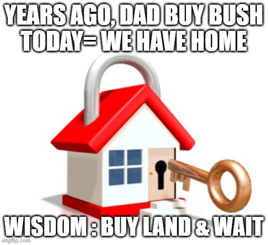 Buy Bush to make Money `Ridwan | YEARS AGO, DAD BUY BUSH
TODAY= WE HAVE HOME; WISDOM : BUY LAND & WAIT | image tagged in greenacres real estate listings - ally realty | made w/ Imgflip meme maker