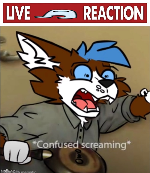 image tagged in live x reaction,confused furry screaming | made w/ Imgflip meme maker