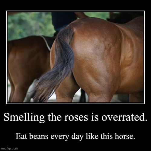 When the horse fard is smelly | image tagged in funny,demotivationals | made w/ Imgflip demotivational maker