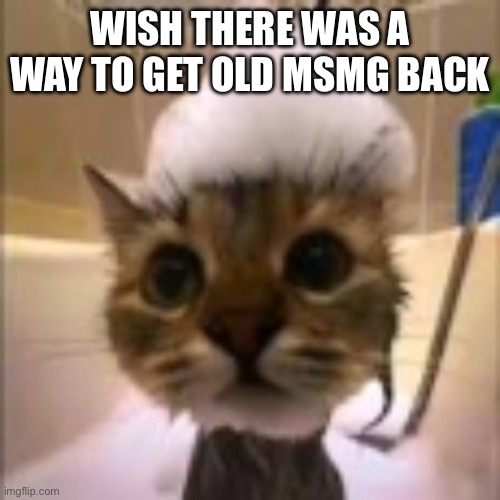 His dumbass is NOT taking a shower!!! | WISH THERE WAS A WAY TO GET OLD MSMG BACK | image tagged in his dumbass is not taking a shower | made w/ Imgflip meme maker