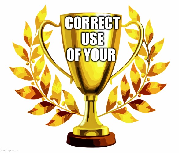 You Win! | CORRECT USE OF YOUR | image tagged in you win | made w/ Imgflip meme maker