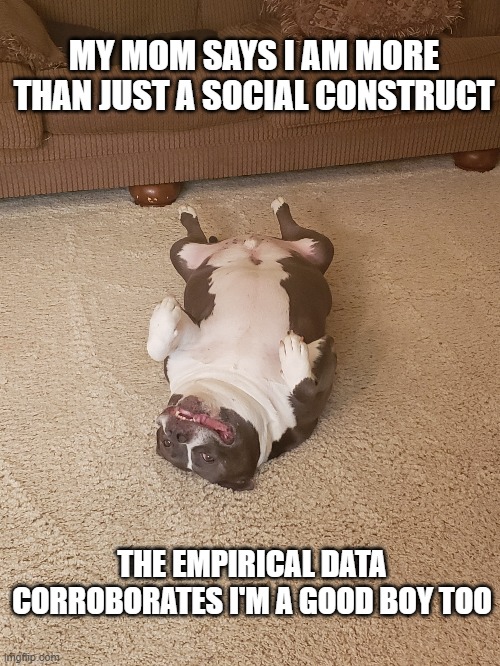 sociology | MY MOM SAYS I AM MORE THAN JUST A SOCIAL CONSTRUCT; THE EMPIRICAL DATA CORROBORATES I'M A GOOD BOY TOO | image tagged in memes | made w/ Imgflip meme maker