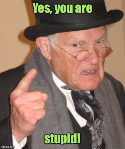 Back In My Day Meme | Yes, you are stupid! | image tagged in memes,back in my day | made w/ Imgflip meme maker