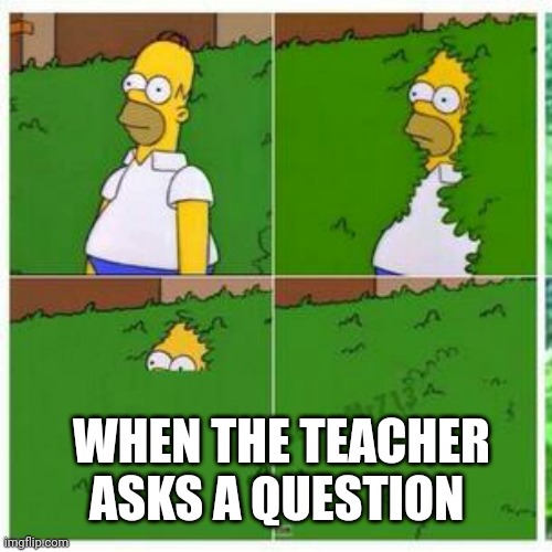 I do this | WHEN THE TEACHER ASKS A QUESTION | image tagged in homer hides,school | made w/ Imgflip meme maker