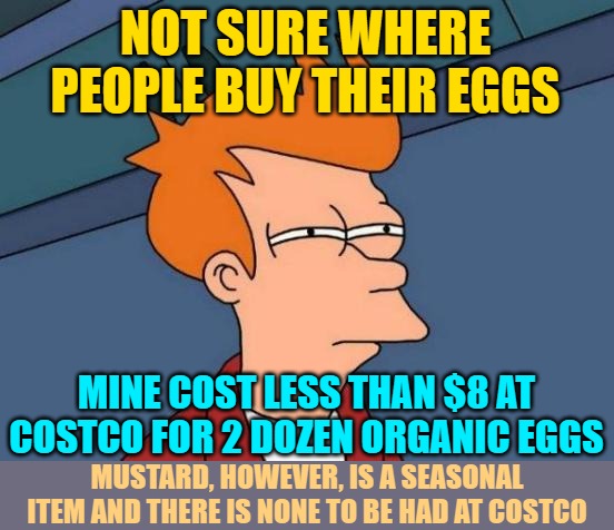 Futurama Fry Meme | NOT SURE WHERE PEOPLE BUY THEIR EGGS MINE COST LESS THAN $8 AT COSTCO FOR 2 DOZEN ORGANIC EGGS MUSTARD, HOWEVER, IS A SEASONAL
ITEM AND THER | image tagged in memes,futurama fry | made w/ Imgflip meme maker
