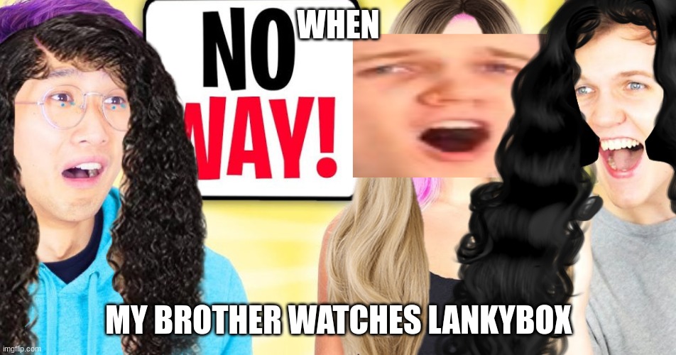 lol | WHEN; MY BROTHER WATCHES LANKYBOX | image tagged in lankybox in a nutshell | made w/ Imgflip meme maker