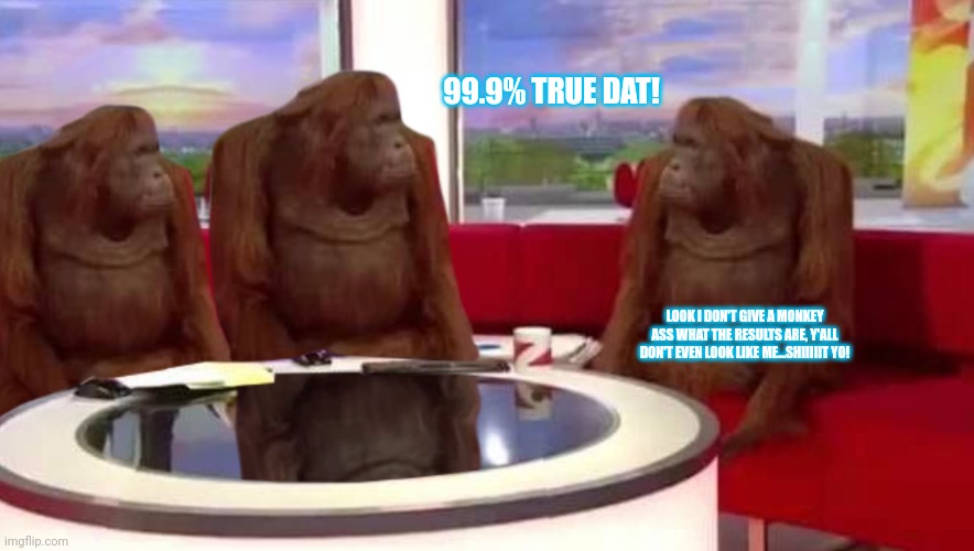 where monkey | 99.9% TRUE DAT! LOOK I DON'T GIVE A MONKEY ASS WHAT THE RESULTS ARE, Y'ALL DON'T EVEN LOOK LIKE ME...SHIIIIIT YO! | image tagged in where monkey | made w/ Imgflip meme maker