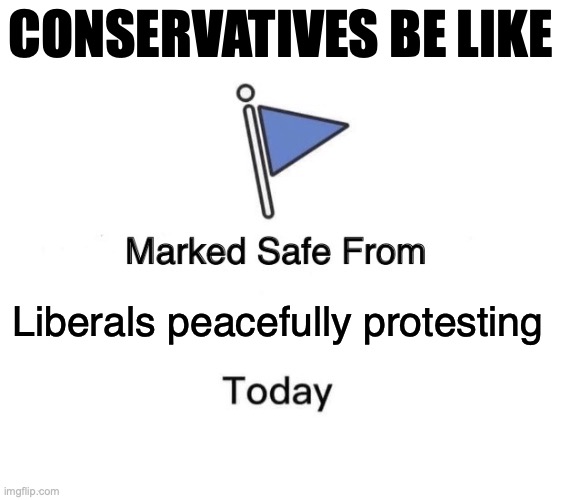 Marked Safe From Meme | Liberals peacefully protesting CONSERVATIVES BE LIKE | image tagged in memes,marked safe from | made w/ Imgflip meme maker