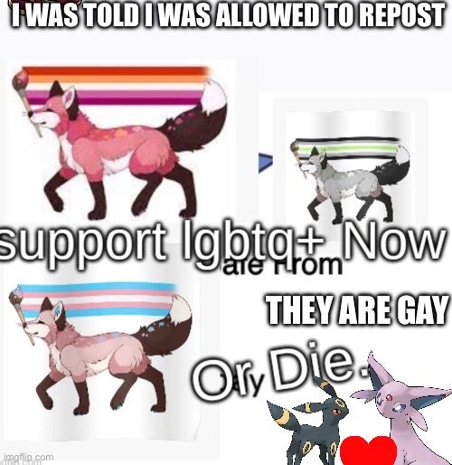 I was allowed to repost | I WAS TOLD I WAS ALLOWED TO REPOST; THEY ARE GAY | image tagged in gay | made w/ Imgflip meme maker