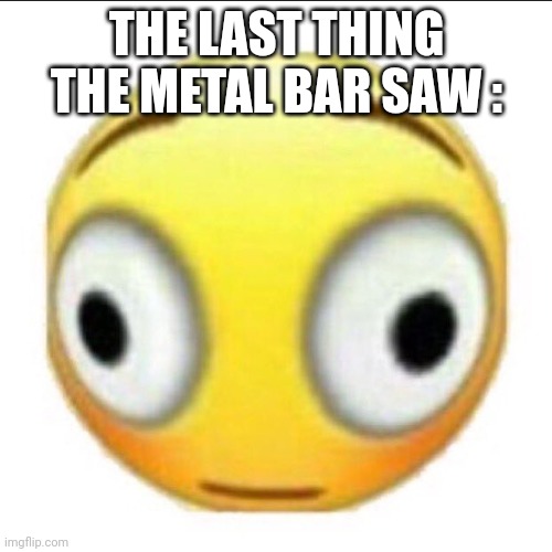 bonk | THE LAST THING THE METAL BAR SAW : | image tagged in bonk | made w/ Imgflip meme maker
