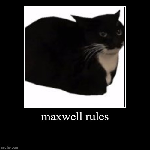 yes | image tagged in funny,demotivationals,cats,maxwell,meme god | made w/ Imgflip demotivational maker