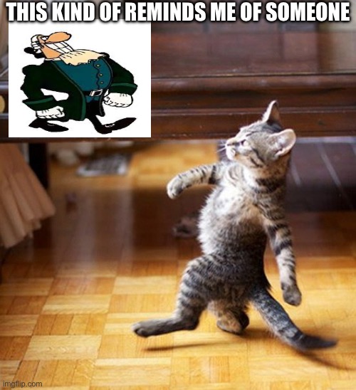Cat Walking Like A Boss | THIS KIND OF REMINDS ME OF SOMEONE | image tagged in cat walking like a boss | made w/ Imgflip meme maker
