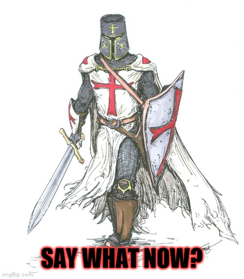 Knights Templar | SAY WHAT NOW? | image tagged in knights templar | made w/ Imgflip meme maker