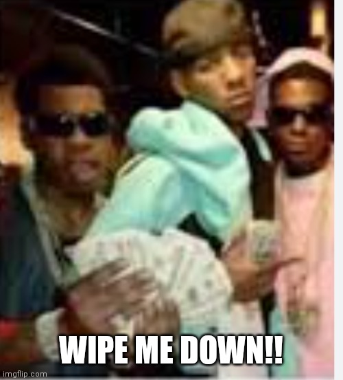 Cause there on wipe them down | WIPE ME DOWN!! | image tagged in funny memes | made w/ Imgflip meme maker