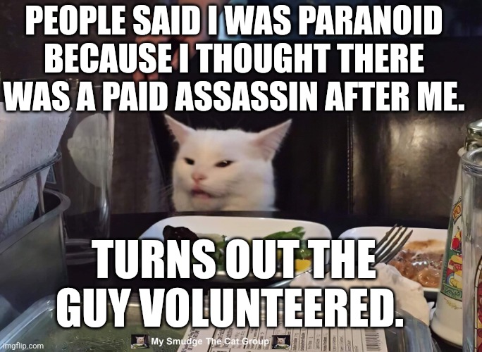 PEOPLE SAID I WAS PARANOID BECAUSE I THOUGHT THERE WAS A PAID ASSASSIN AFTER ME. TURNS OUT THE GUY VOLUNTEERED. | image tagged in smudge the cat | made w/ Imgflip meme maker