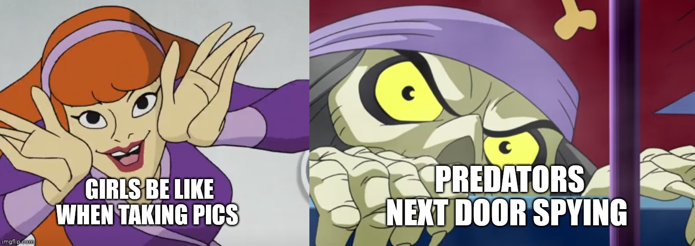 Good luck to the girl | GIRLS BE LIKE WHEN TAKING PICS; PREDATORS NEXT DOOR SPYING | image tagged in funny memes | made w/ Imgflip meme maker