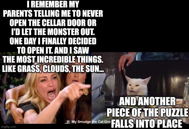 I REMEMBER MY PARENTS TELLING ME TO NEVER OPEN THE CELLAR DOOR OR I'D LET THE MONSTER OUT. ONE DAY I FINALLY DECIDED TO OPEN IT. AND I SAW THE MOST INCREDIBLE THINGS. LIKE GRASS, CLOUDS, THE SUN... AND ANOTHER PIECE OF THE PUZZLE FALLS INTO PLACE | image tagged in smudge the cat | made w/ Imgflip meme maker