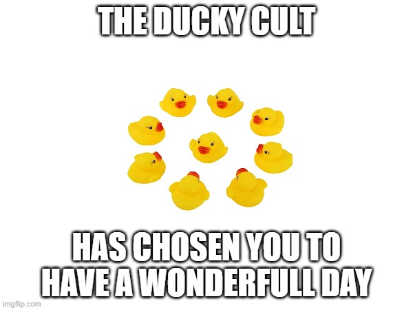 WE HAVE CHOSEN YOU | THE DUCKY CULT; HAS CHOSEN YOU TO HAVE A WONDERFULL DAY | made w/ Imgflip meme maker