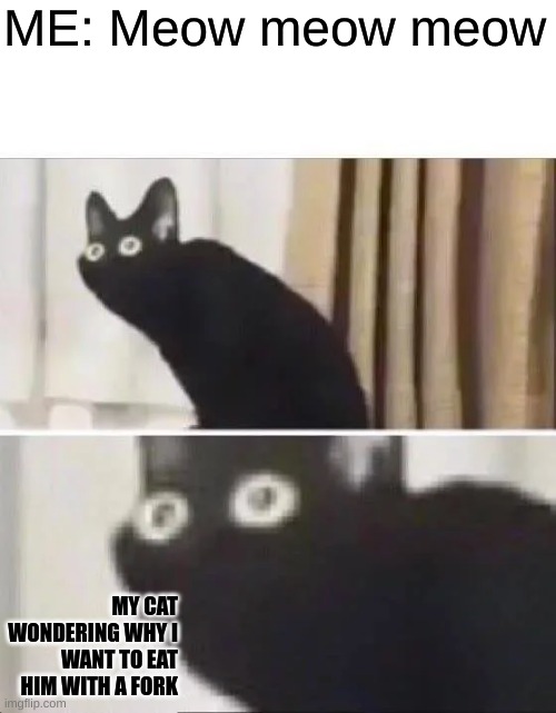 WHut | ME: Meow meow meow; MY CAT WONDERING WHY I WANT TO EAT HIM WITH A FORK | image tagged in oh no black cat | made w/ Imgflip meme maker