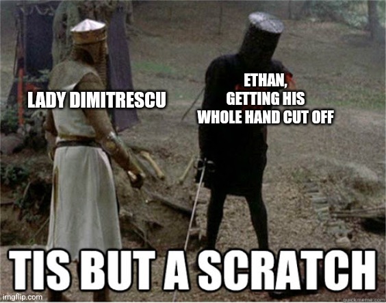 tis but a scratch | ETHAN, GETTING HIS WHOLE HAND CUT OFF; LADY DIMITRESCU | image tagged in tis but a scratch,resident evil | made w/ Imgflip meme maker