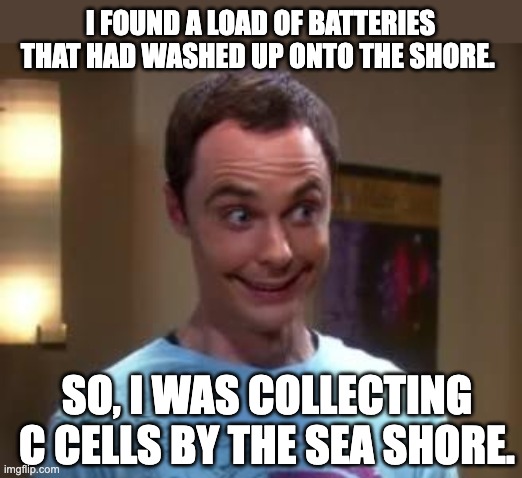 C cells | I FOUND A LOAD OF BATTERIES THAT HAD WASHED UP ONTO THE SHORE. SO, I WAS COLLECTING C CELLS BY THE SEA SHORE. | image tagged in sheldon cooper smile | made w/ Imgflip meme maker