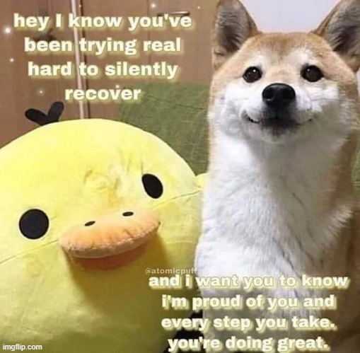Don't be too hard on your self, you're doing great!! | image tagged in wholesome,wholesome content,memes,cute,dogs,ducks | made w/ Imgflip meme maker