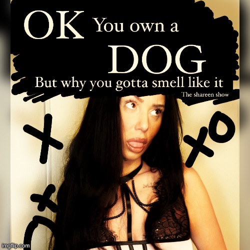 Fr | image tagged in funny memes,memes,dogs,mental health,funny meme | made w/ Imgflip meme maker