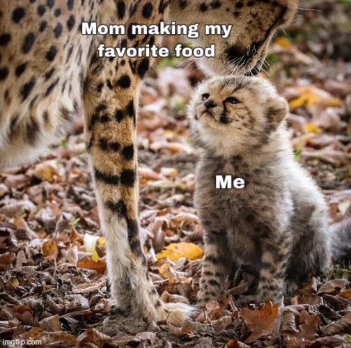 I don't care how old I am. I'll still make that face | image tagged in wholesome,wholesome content,repost,memes,funny,mom | made w/ Imgflip meme maker