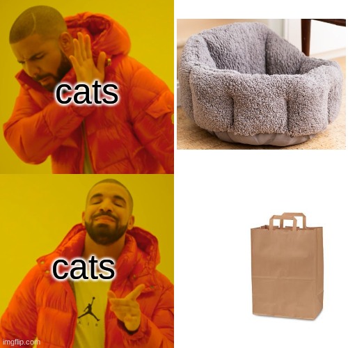 Drake Hotline Bling | cats; cats | image tagged in memes,drake hotline bling,cats | made w/ Imgflip meme maker