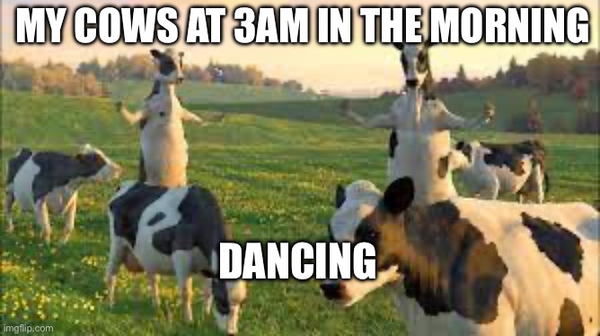 My cows at 3am | MY COWS AT 3AM IN THE MORNING; DANCING | image tagged in my cows at 3am | made w/ Imgflip meme maker