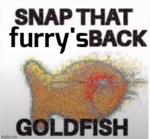 Hey look... The funny | image tagged in snap that furry's back | made w/ Imgflip meme maker