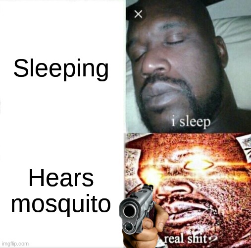 Sleeping Shaq | Sleeping; Hears mosquito | image tagged in memes,sleeping shaq | made w/ Imgflip meme maker