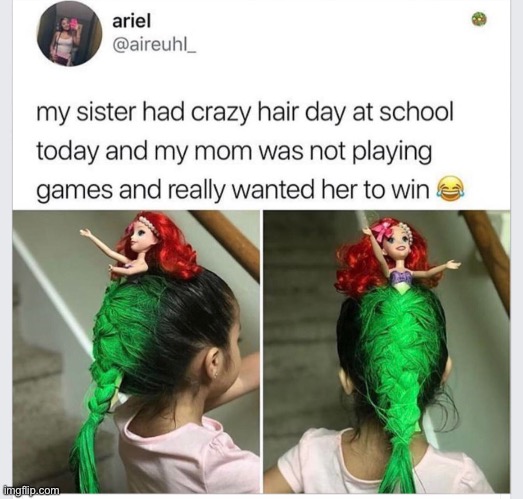 image tagged in wholesome,wholesome content,memes,funny,hair,crazy hair | made w/ Imgflip meme maker