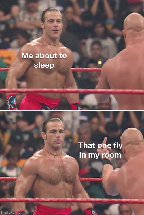 image tagged in repost,memes,funny,fly,sleep,relatable | made w/ Imgflip meme maker